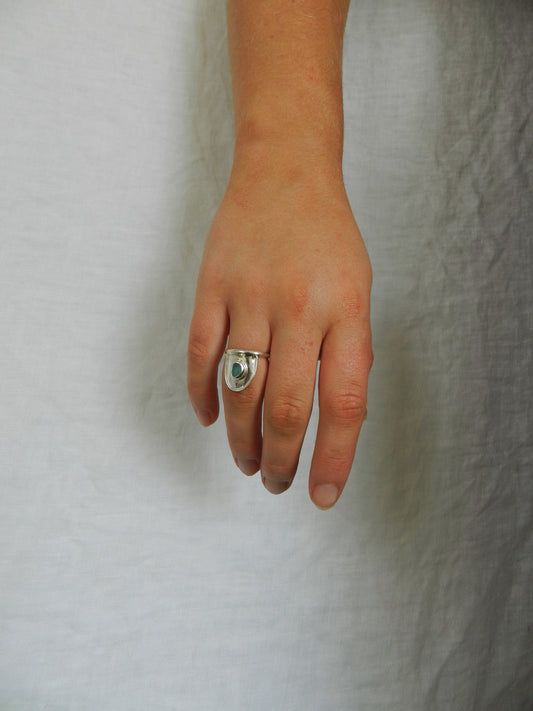 Meraki Ring Skyla