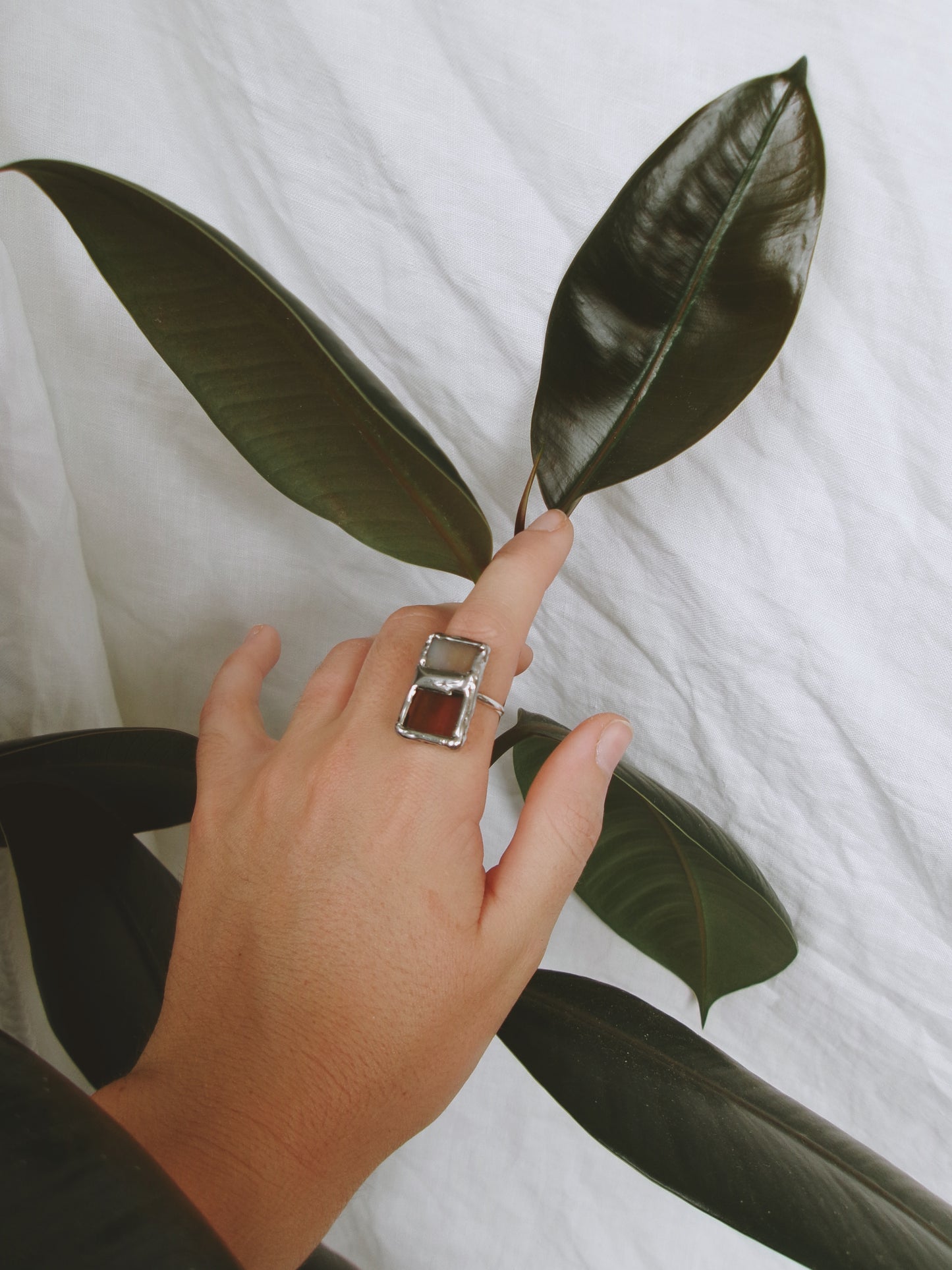 Observatory Window Ring