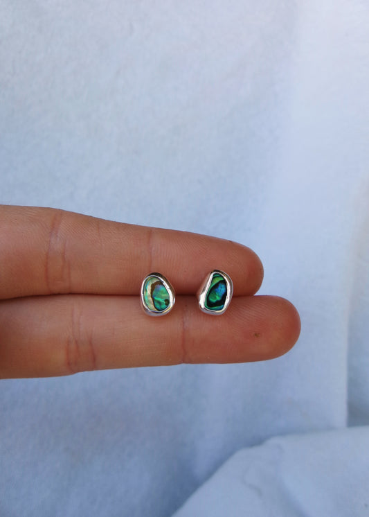 Abalone studs