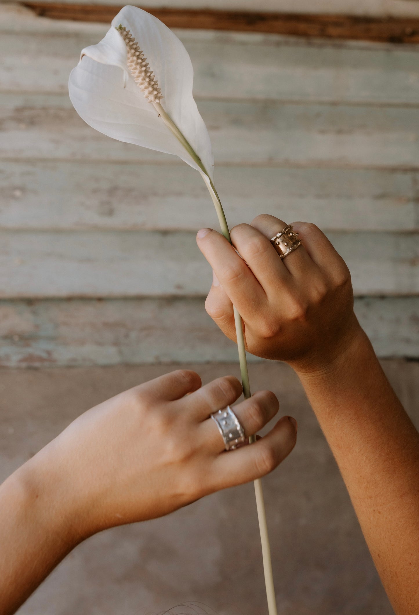 Aesthete ring solid 9ct gold