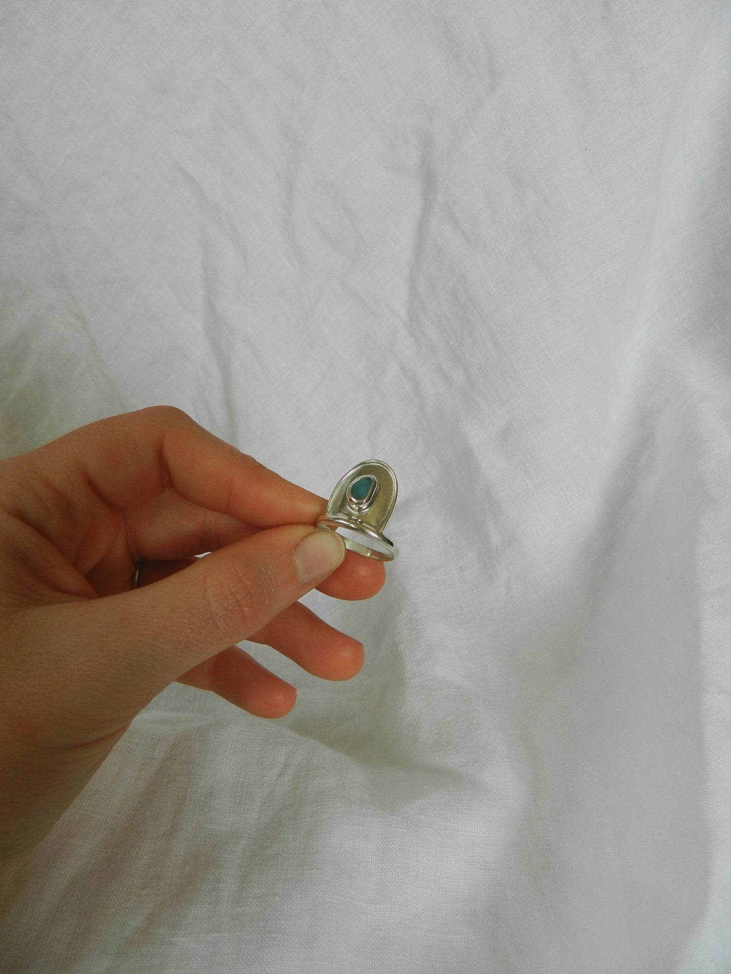 Meraki Ring Skyla